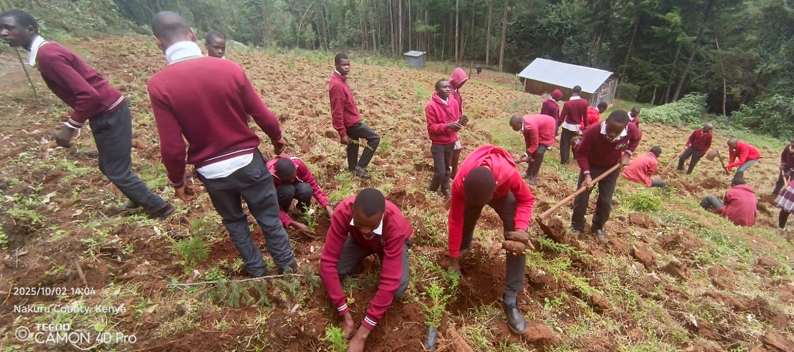 Students farming