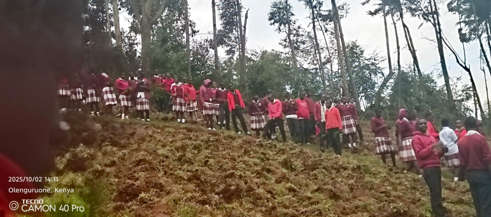 Tree planting activity