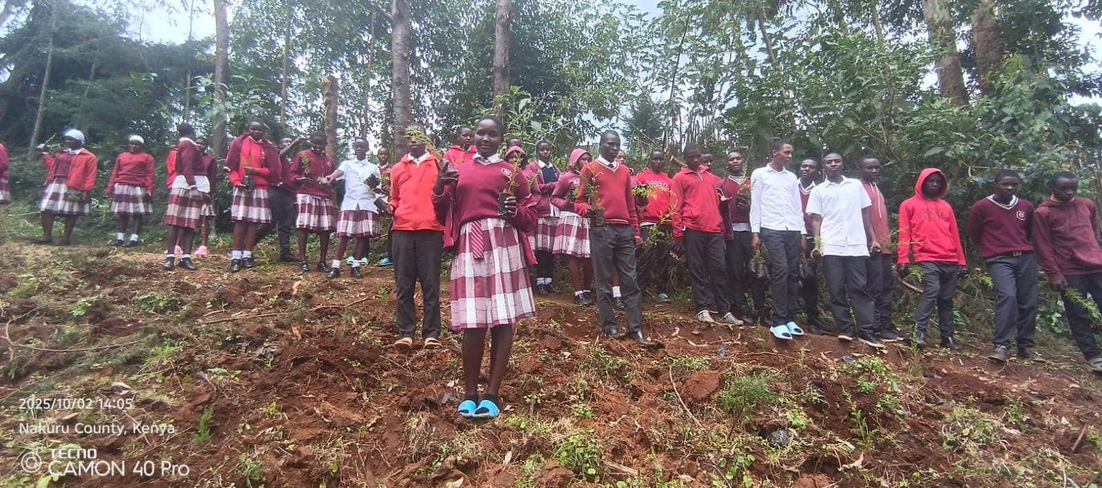 Students planting trees