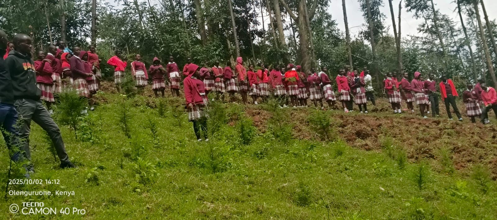 Tree planting drive